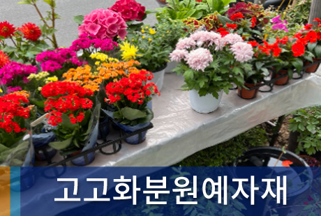 조합원가게